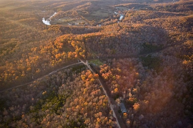 649 Needle's Eye Trail, Mammoth Spring, AR 72554 - photo 3