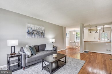 4123 36th St S unit A1, Arlington, VA 22206 - photo 2