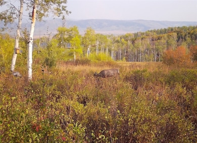 55966 Hannahs Way, Clark, CO 80428 - photo 2