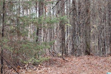 73 acres County Road 93, Bankston, AL 35542 - photo 3