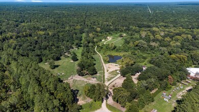 16117 Needham Rd, Conroe, TX 77385 - photo 4