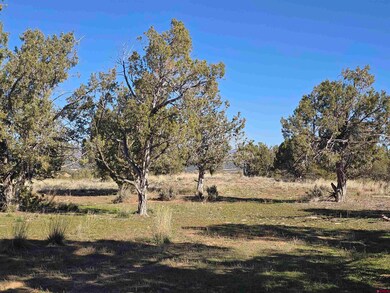 100 & 110 Wrangler Way, Durango, CO 81303 - photo 4