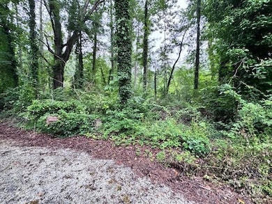 0 Glengary Dr unit 79, Flat Rock, NC 28731 - photo 2