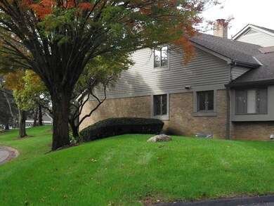Exterior side yard