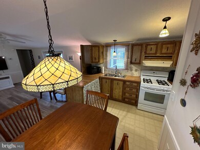 37262 Sugar Hill Way unit 41410, Selbyville, DE 19975 - photo 5