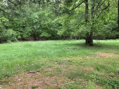 75 Scotch Pine Rd, Weston, MA 02493 - photo 2