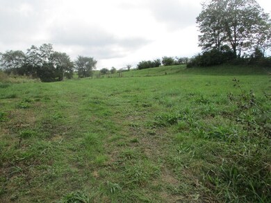 4097 Hilltop Rd, Ewing, KY 41039 - photo 6