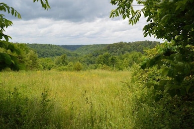 280 Copeland Ln, Cookeville, TN 38506 - photo 6