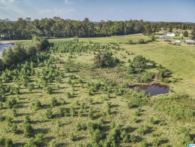 0 New Harmony Rd unit 35 acres +/-, Clanton, AL 35045 - photo 7