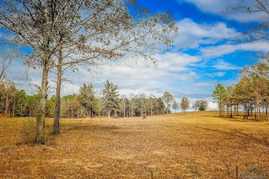 20 AC County Road 3104, Gladewater, TX 75647 - photo 6