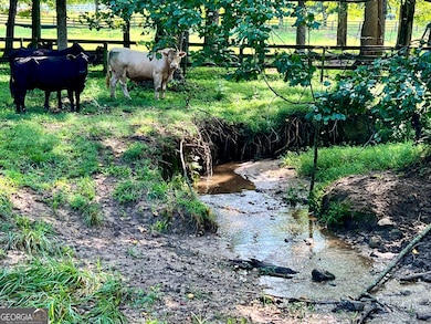 6223 Hulsey Rd, Clermont, GA 30527 - photo 7