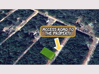 P44M+6GG Florahome unit Florida USA, Florahome, FL 32140 - photo 4