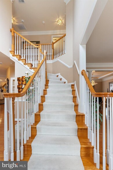 7608 Clare Ct, Laurel, MD 20707 - photo 6