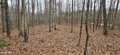 0 Rocky Top Rd unit 1322693, Monterey, TN 38574 - photo 6