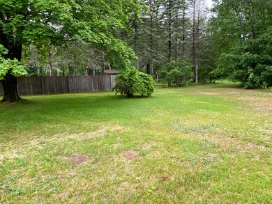 Back yard