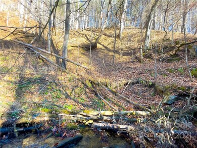 TBD Bradford Rd, Ramseytown, NC 28714 - photo 7