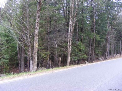 22 Horse Hill Rd, Hadley, NY 12835 - photo 6