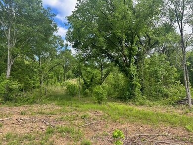 View of local wilderness