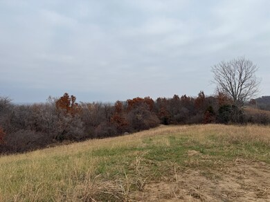 0 Dover Bluff, Waverly, MO 64096 - photo 3