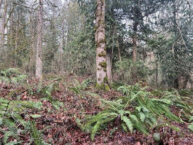 0 XX Valley View Rd, Sedro Woolley, WA 98284 - photo 6