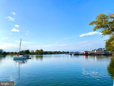409 N St SW unit 5, Washington, DC 20024 - photo 3