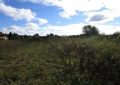 ON Price Polar Rd unit 20 Acres, Bryant, WI 54418 - photo 3