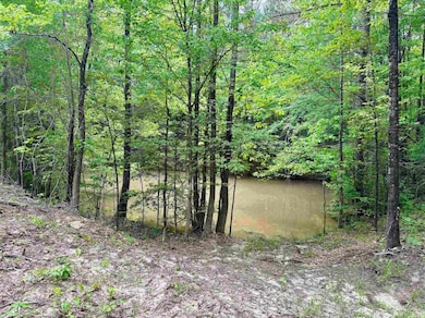 0 Silerton Rd, Toone, TN 38381 - photo 2