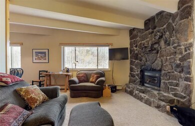 370 E La Bonte St unit 101, Dillon, CO 80435 - photo 2