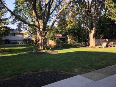 IMG950603_1480596224907