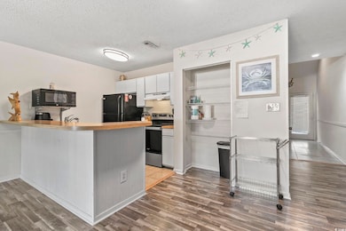 4438 Little River Inn Ln unit Little River G&H 306, Little River, SC 29566 - photo 7