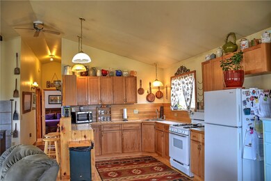 171 Antelope Way, Como, CO 80432 - photo 6