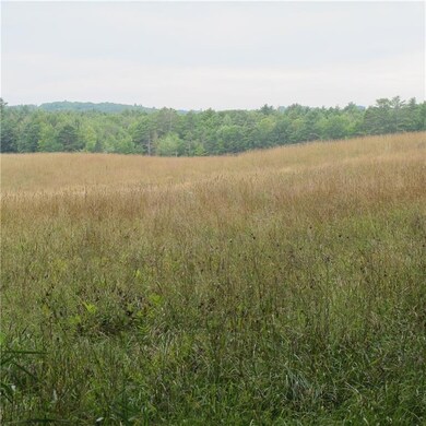 Hay lease has potential of annual...