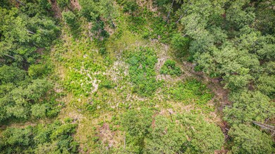 tbd County Road 1520, Warren, TX 77664 - photo 7