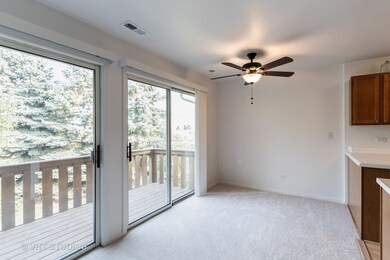 320 Newport Ln unit B2, Bartlett, IL 60103 - photo 7