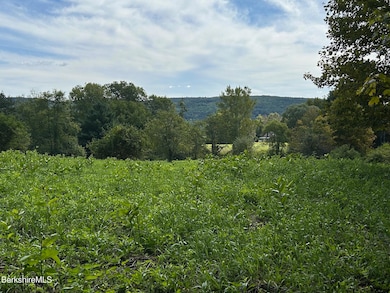 0 Brewer Branch Rd, New Marlborough, MA 01244 - photo 6