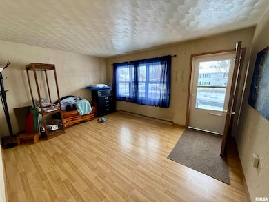 331 6th St, Colona, IL 61241 - photo 3