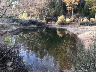 Pond