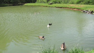 0 Palisade Dr unit 1226674, Ellijay, GA 30540 - photo 6