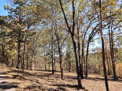 Lot 33, 34 & 35 Watersedge Dr, Edgemont, AR 72044 - photo 5