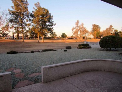 9722 W Lindgren Ave, Sun City, AZ 85373 - photo 5