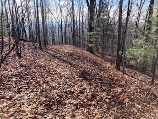 LOT 274 Heron Ct, Ellijay, GA 30540 - photo 7