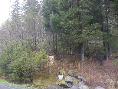 another view of lot