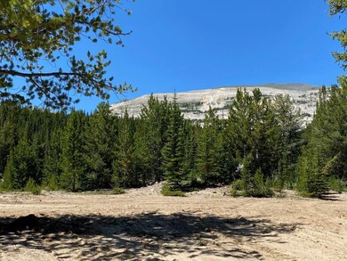 IMG_1505