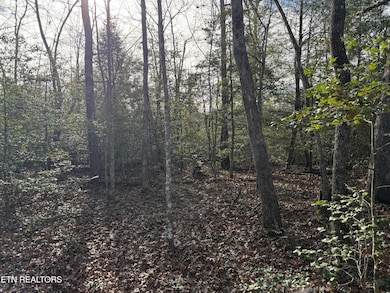 0 Walker Hollow Dr unit RTC3061466, Monterey, TN 38574 - photo 4