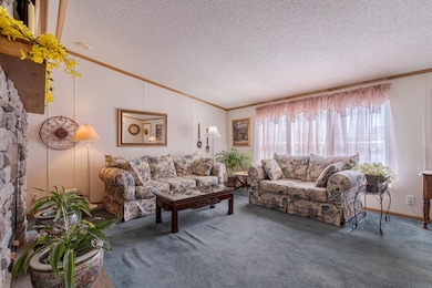 Abundant Natural Light