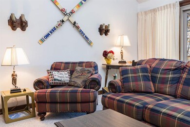 139 Eagles Ct Condos, Wintergreen Resort, VA 22967 - photo 3