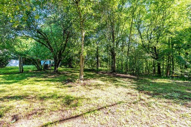6-web-or-mls-75-pruitt-ln