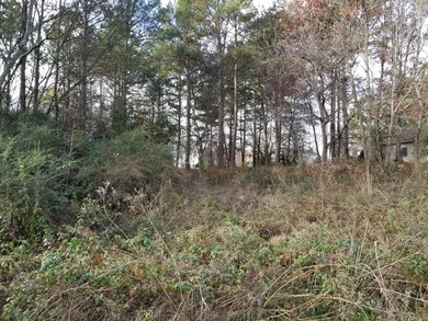 233 Dudala Way, Loudon, TN 37774 - photo 5