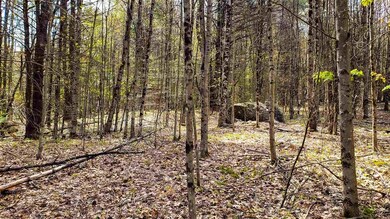 590FX Flanders Rd, Henniker, NH 03242 - photo 5