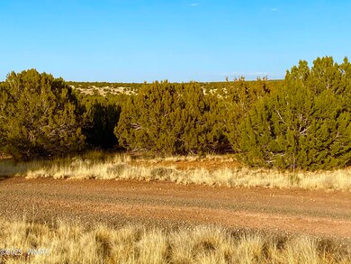 1965 Tee St, Show Low, AZ 85901 - photo 5
